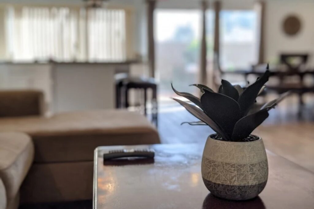 Costa Mesa inpatient rehab