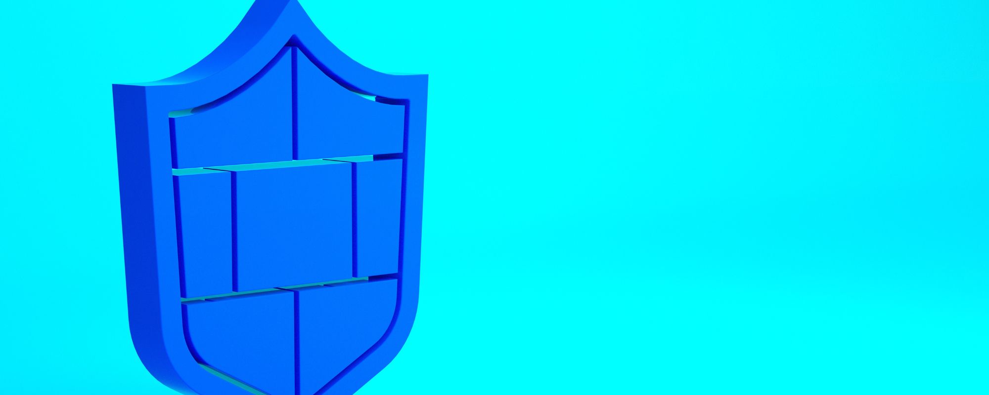 What Is Anthem Blue Cross and Blue Shield? A Plain-English Overview