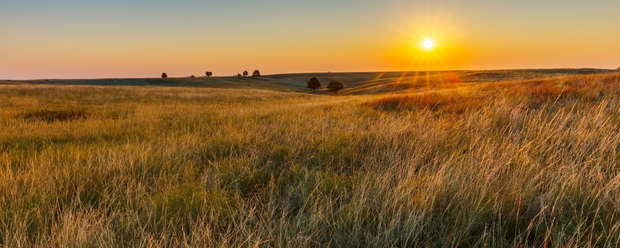 Does Aetna Cover Drug and Alcohol Rehab in Oklahoma City? What Your Plan Pays