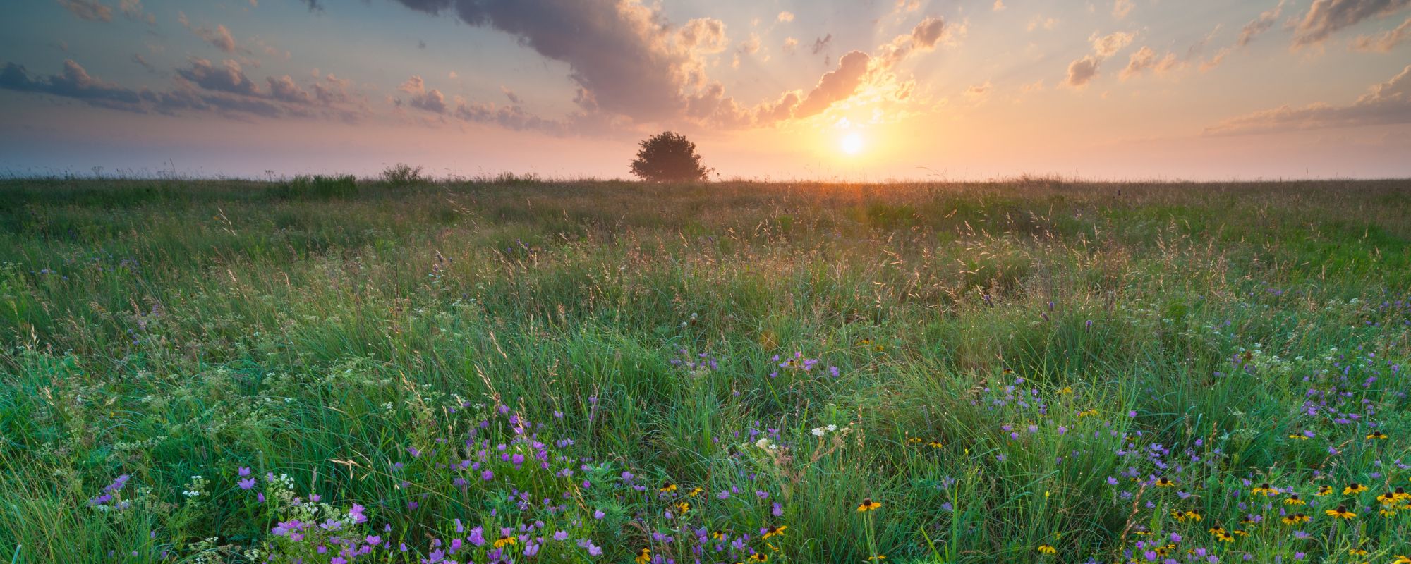 What to Expect When You Call a Rehab That Accepts Aetna